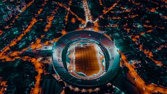 MK手机客户端-爱尔兰青训系统助力橄榄球未来腾飞，爱尔兰橄榄球联盟